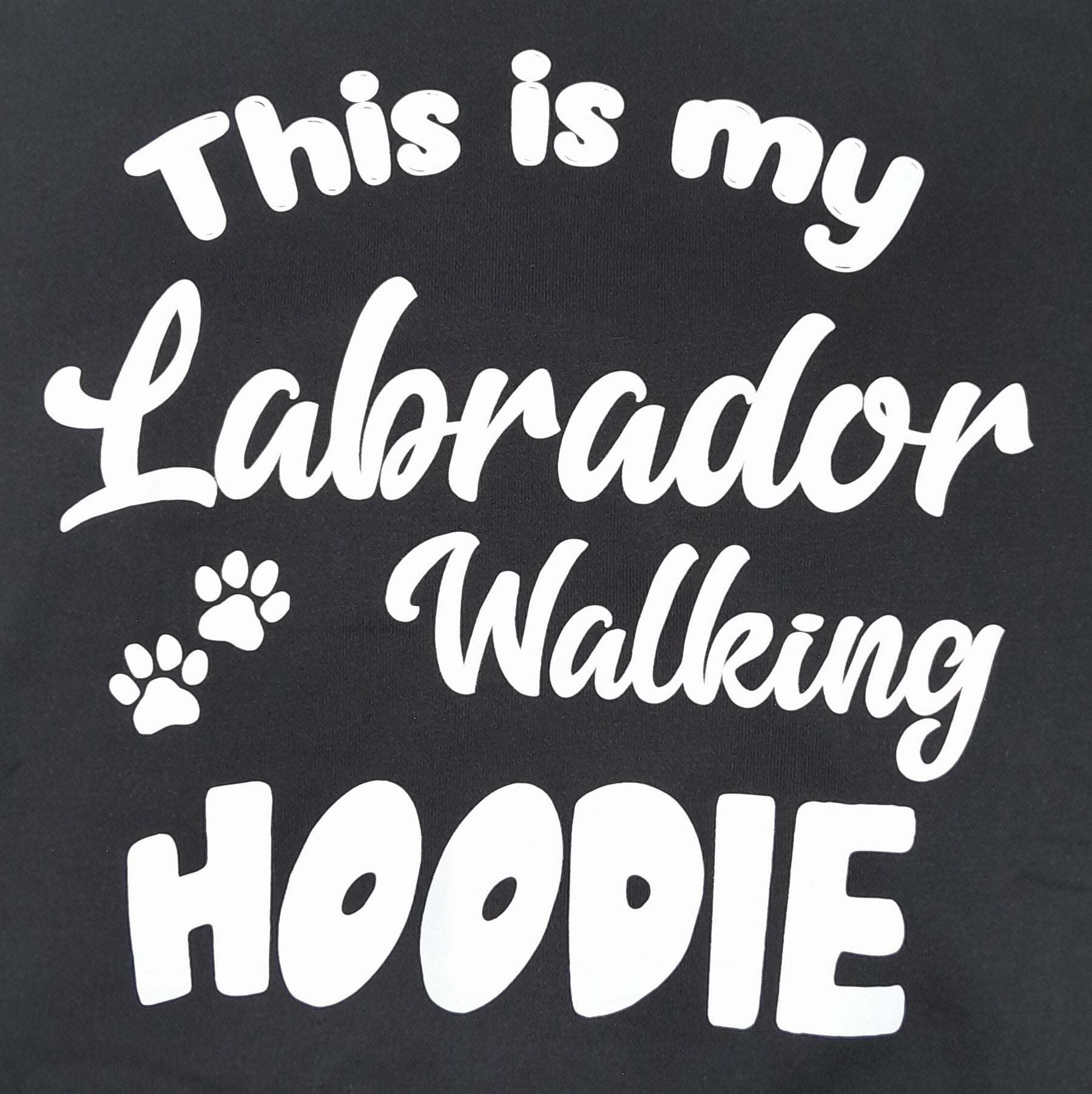 This Is My Labrador Walking Hoodie